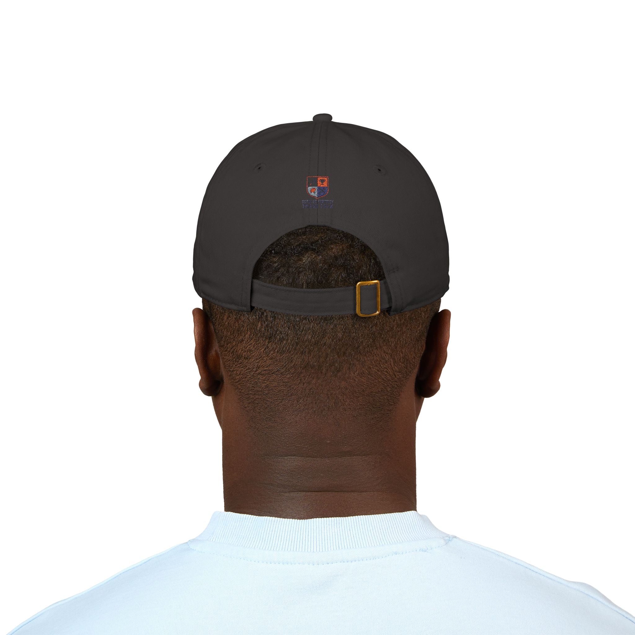 Embroidered Baseball Cap - Dad Master of the Grill and Life Coach